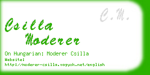 csilla moderer business card